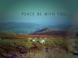 6a012876cf8591970c01543608ca6b970c-800wi