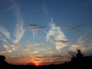 dawn-2-1504573-1280x960