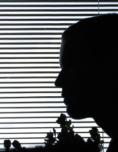 blinds-1436458-1279x1646